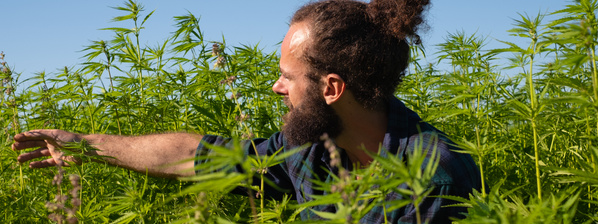 Christoph Ölmanufaktur Sankelmark