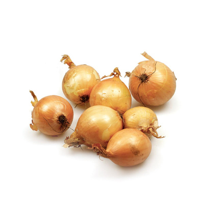 Produktfoto zu gelbe Zwiebeln - neue Ernte